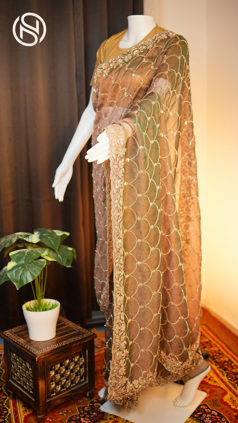 Swarna Beets Canvas | Antique Gold Work Soft Tissue Saree | Dark Brown