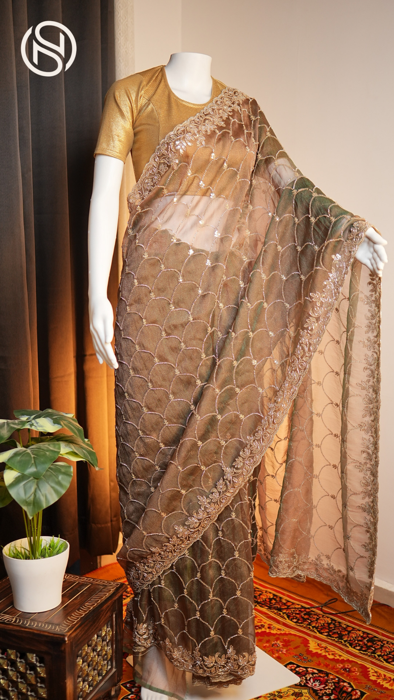 Swarna Beets Canvas | Antique Gold Work Soft Tissue Saree | Dark Brown