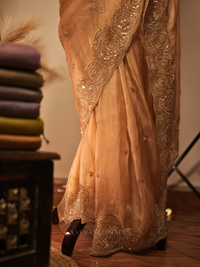 Noor-e-Banaras | Banarasi Soft Tissue Silk Saree with Handwork Border | Rust