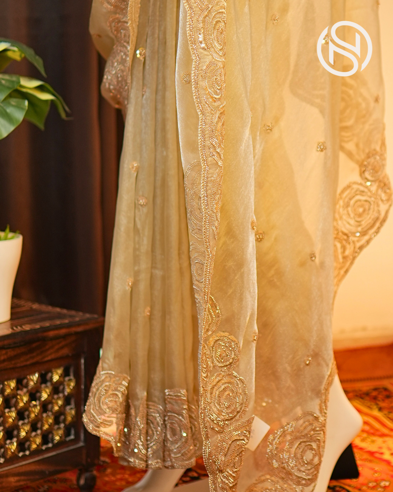 Noor-e-Banaras | Banarasi Soft Tissue Silk Saree with Handwork Border | Pista Green