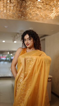 Yellow Varli Art Vegan Silk Saree – close-up of folk art motif embroidery | Navrang Drapes
